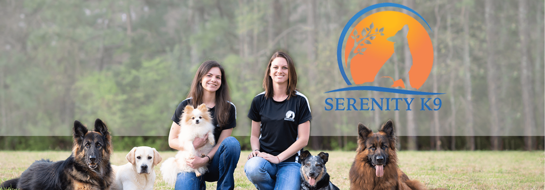 Serenity K9 Review